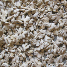 Wholesale New product High Quality dried red ginger for sale